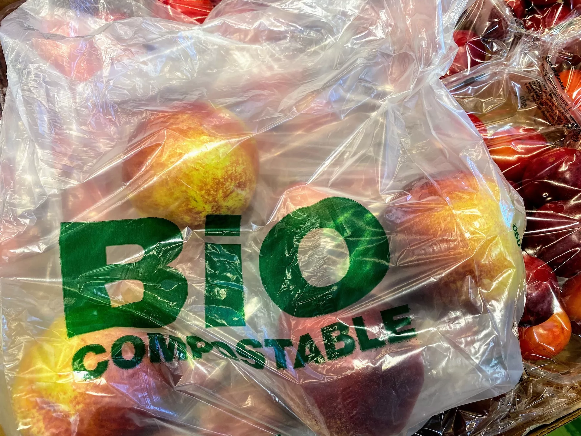 DÍA INTERNACIONAL LIBRE DE BOLSAS DE PLÁSTICO, UN LLAMADO A LA CONCIENCIA AMBIENTAL
