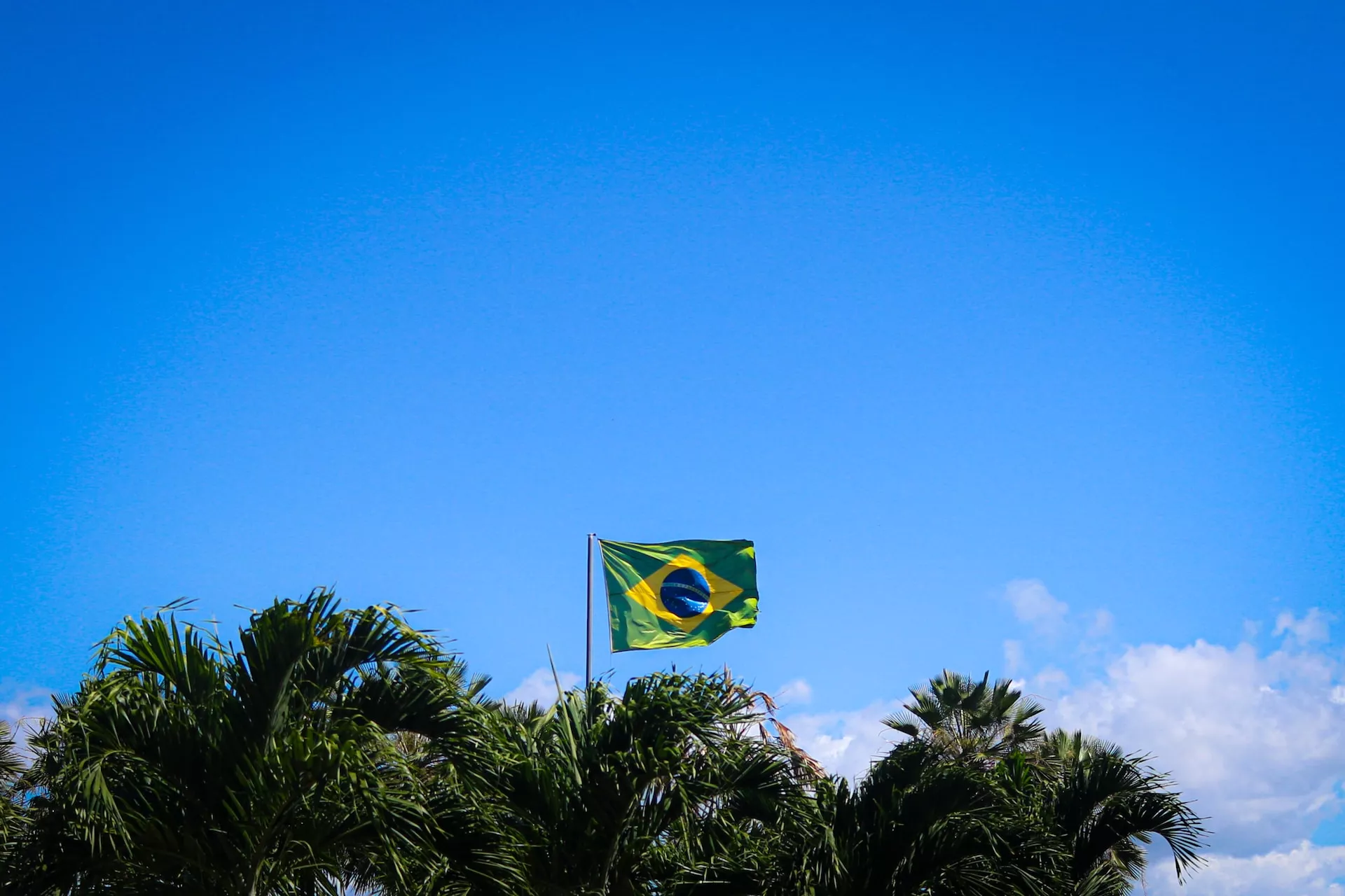 MINISTRAS MUJERES DE BRASIL APOYARON A THELMA FARDIN TRAS AL ABSOLUCIÒN