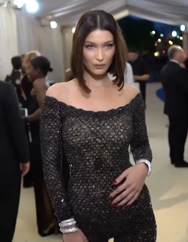 ¿QUÉ ES LA ENFERMEDAD DE LYME? LA CONDICIÓN QUE AFECTA A BELLA HADID