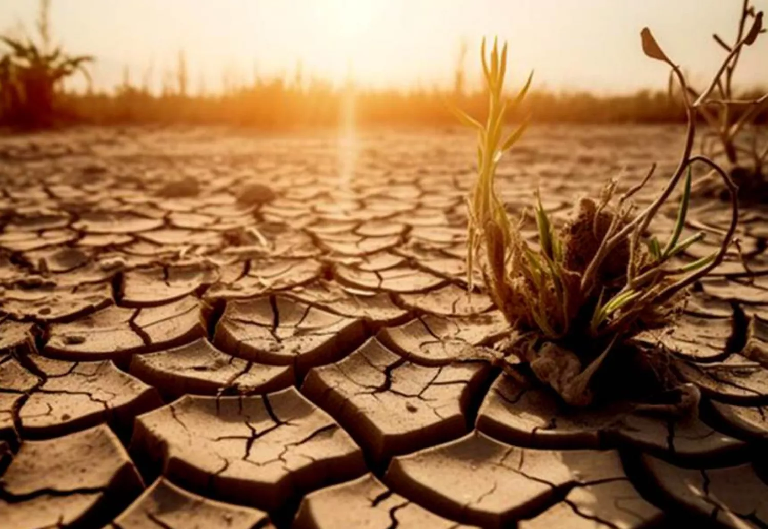 ALERTA: EL CAMBIO CLIMÁTICO PODRÍA REDUCIR LA ESPERANZA DE VIDA EN MUJERES