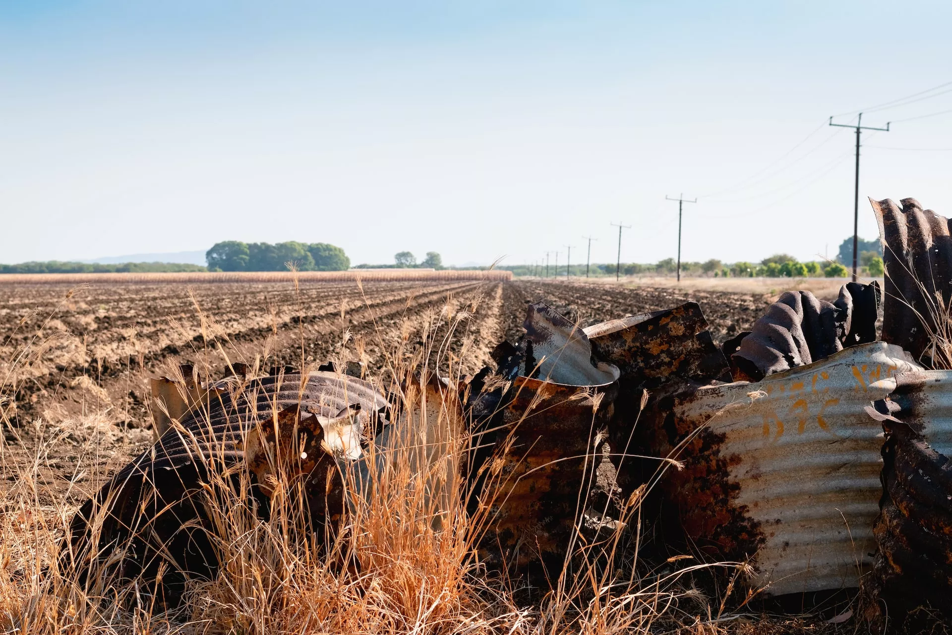 EL GOBIERNO ANUNCIARÍA MEDIDAS PARA EL CAMPO POR LA SEQUÍA