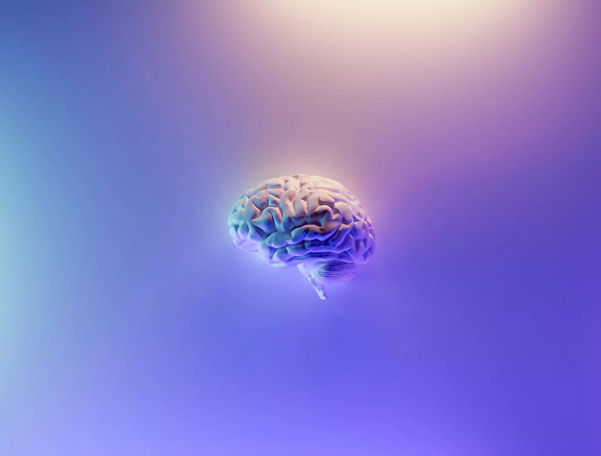 EN EL DÍA MUNDIAL DEL CEREBRO, CÓMO CUIDARLO DEL ESTRÉS