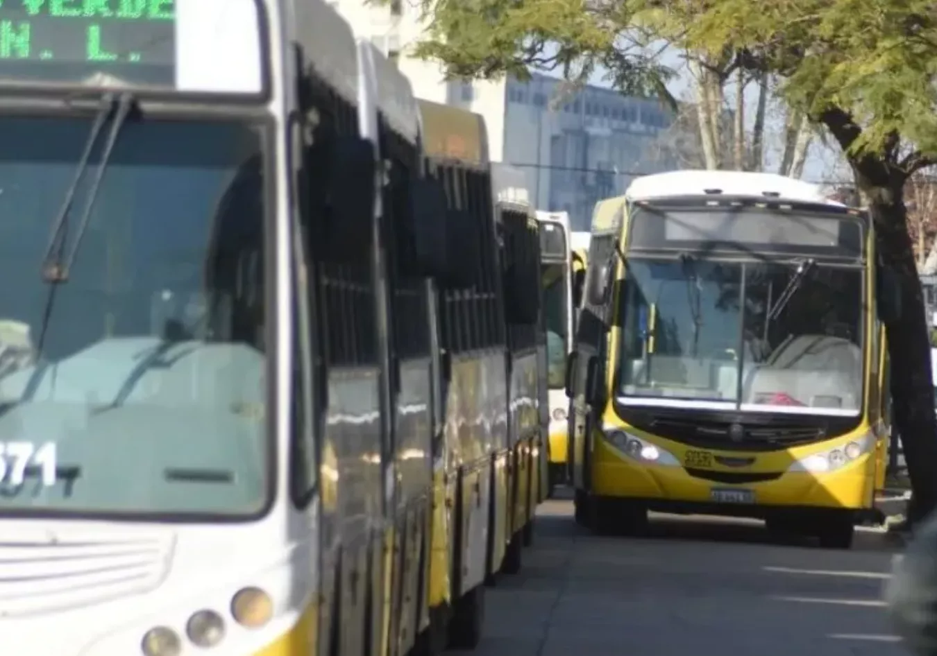 CRISIS INMINENTE EN SANTA FE: EMPRESA DE TRANSPORTE ALERTA SOBRE IMPOSIBILIDAD DE PAGAR SALARIOS EN ABRIL