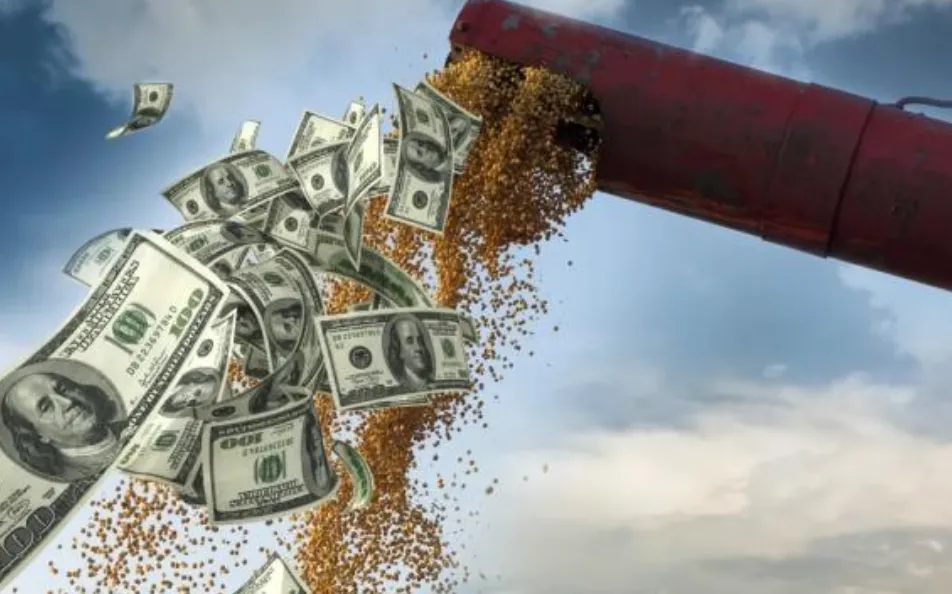 BAJA DE RETENCIONES: EXPORTADORES PREVÉN MAYOR LIQUIDACIÓN, PERO ADVIERTEN QUE LA CAÍDA DEL DÓLAR PODRÍA FRENA VENTAS