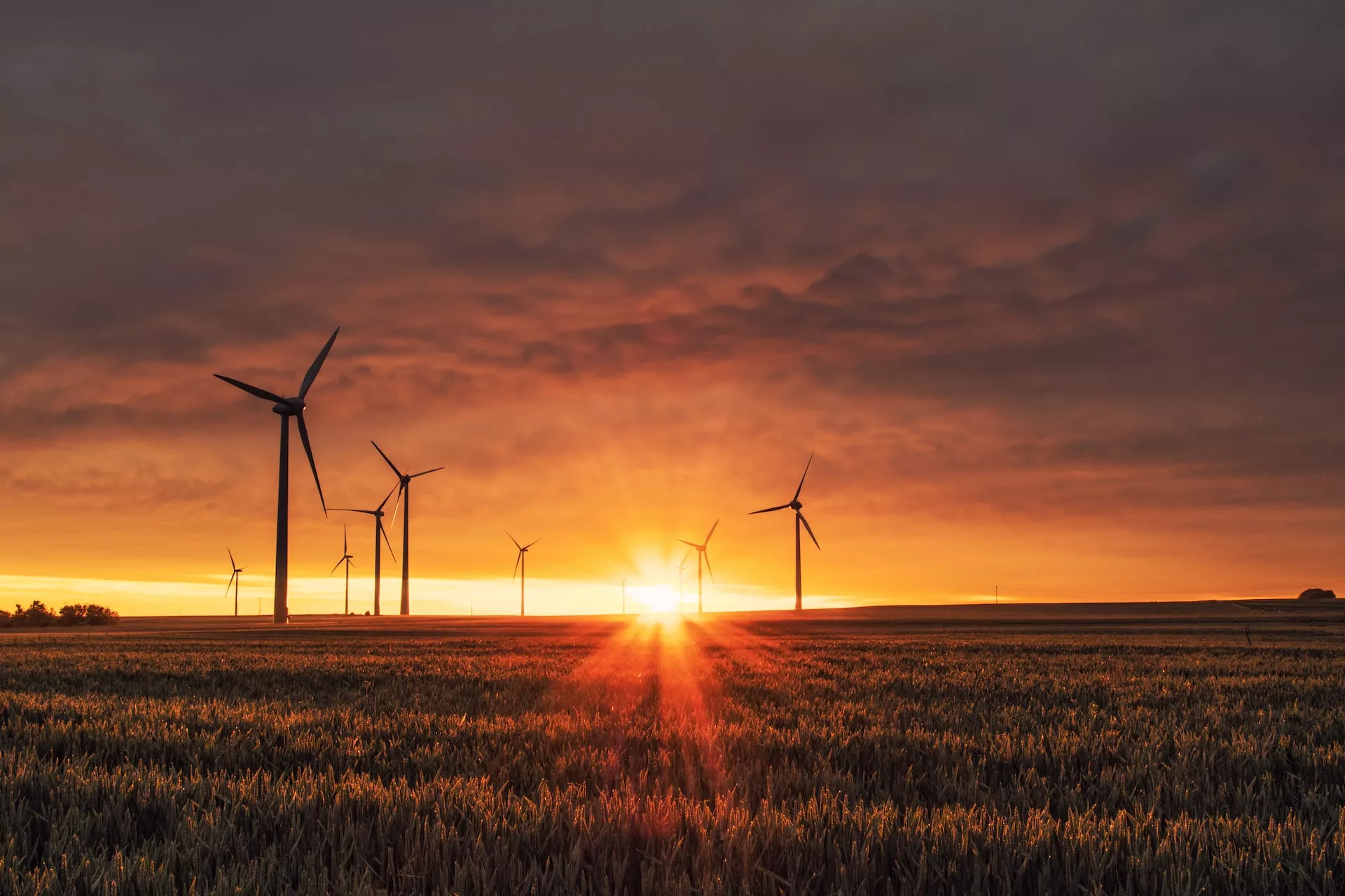 CELEBRANDO EL DÌA DEL MEDIOAMBIENTE, POR UN FUTURO MÀS SOSTENIBLE