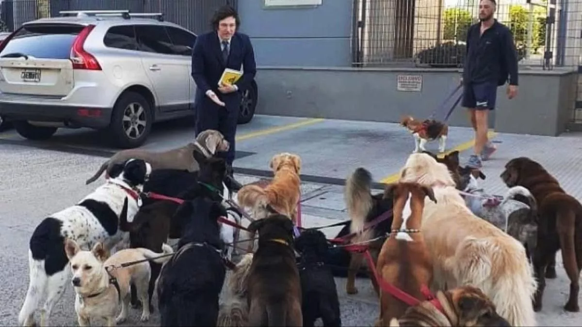 MILEI LE DEDICÓ EL TRIUNFO A SUS PERROS