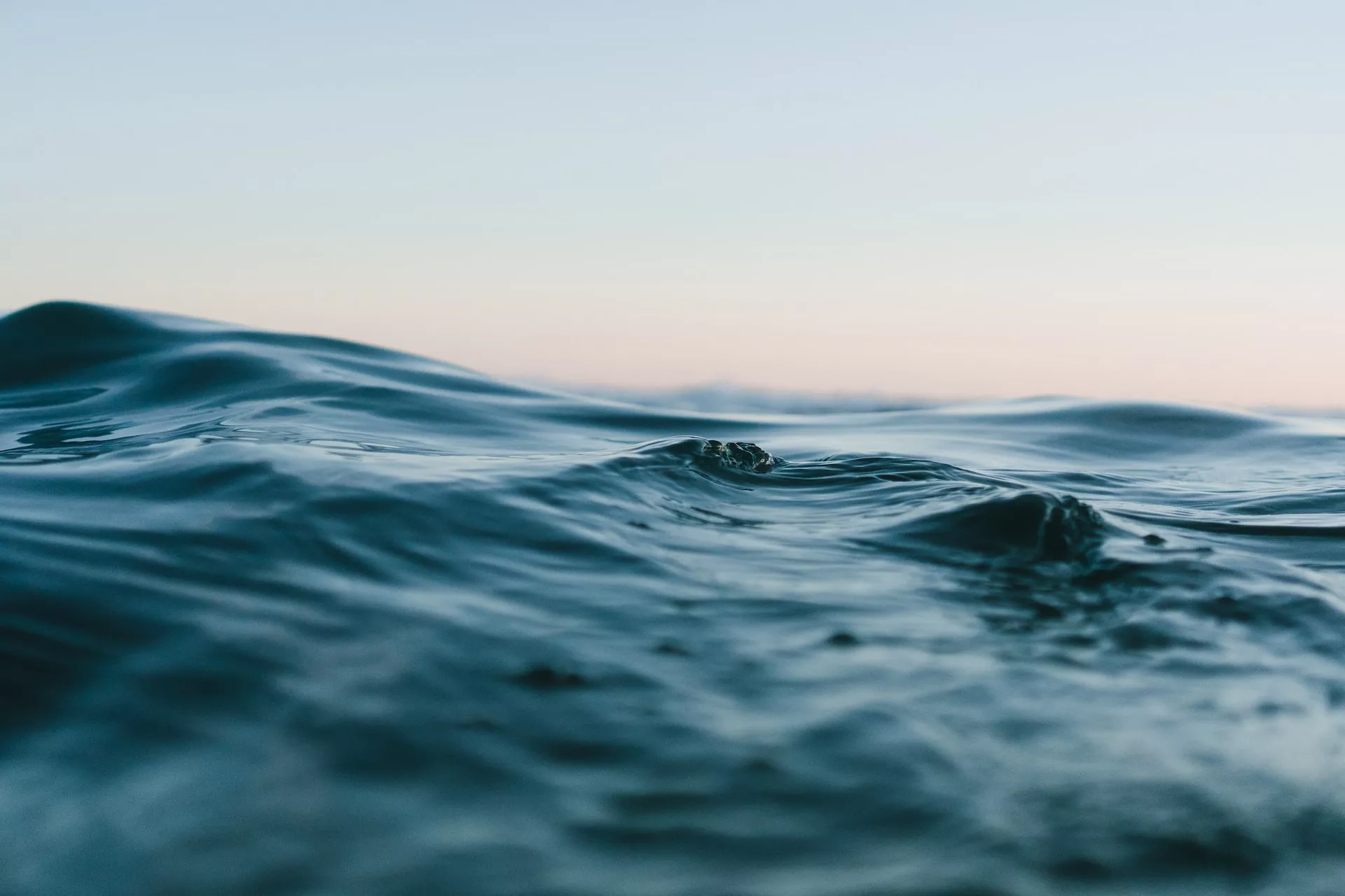 CIENTÍFICOS ADVIERTEN SOBRE UNA OLA DE CALOR EN EL MAR