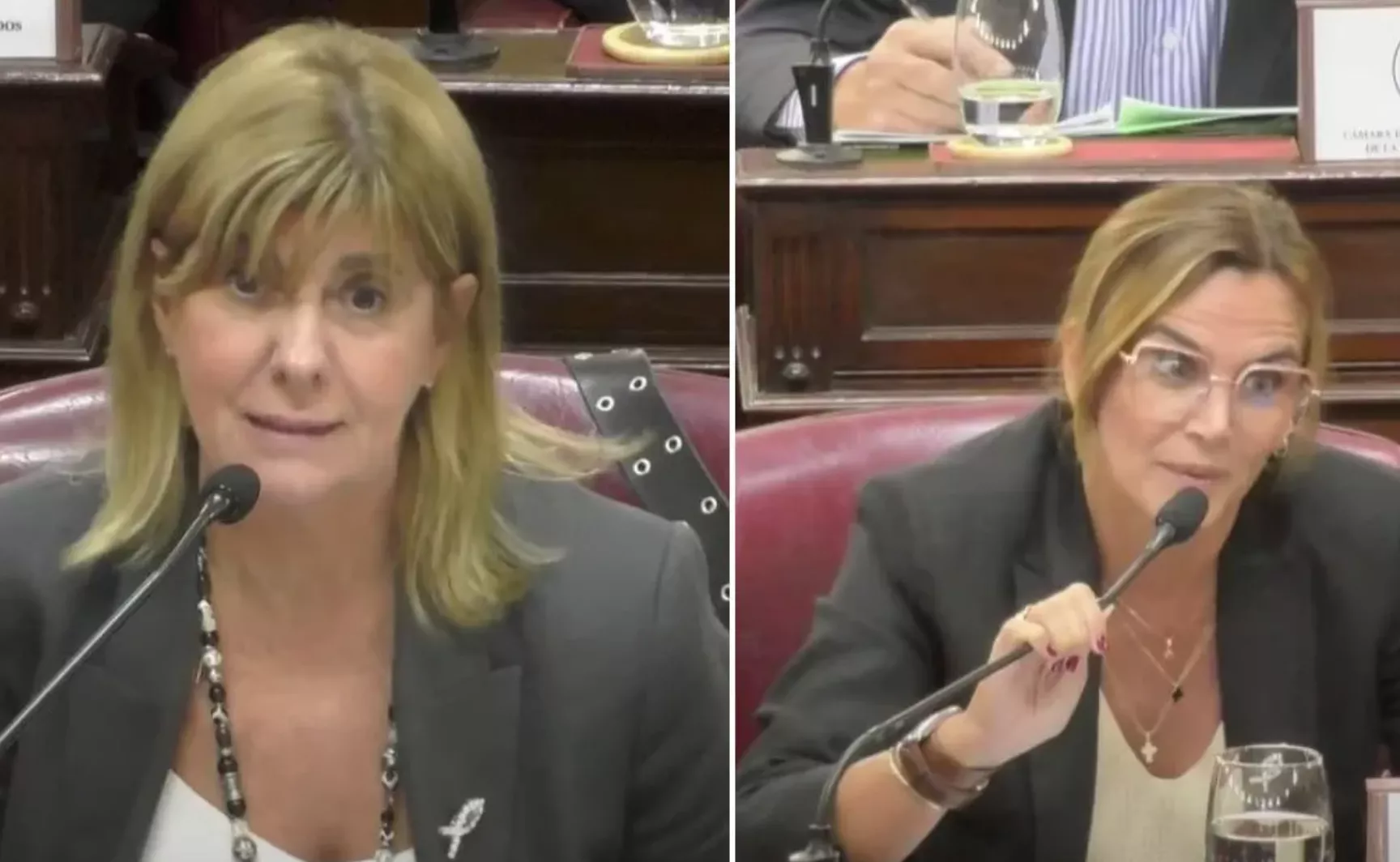 ALEJANDRA RODENAS SE DIFERENCIÓ DE AMALIA GRANATA SOBRE LA MARCHA DEL 8M