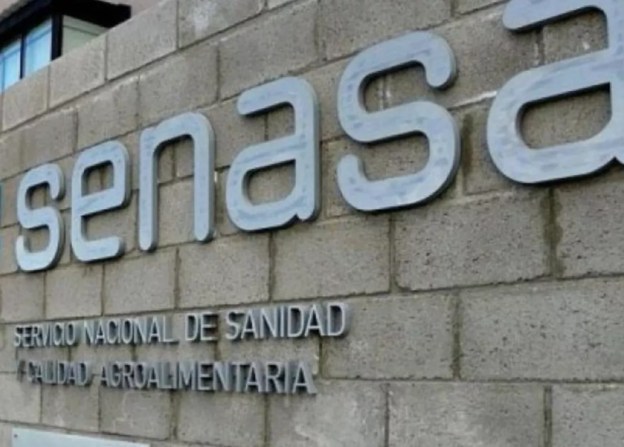 PARO DE ATE EN SENASA, ADVIERTEN POR DESPIDOS
