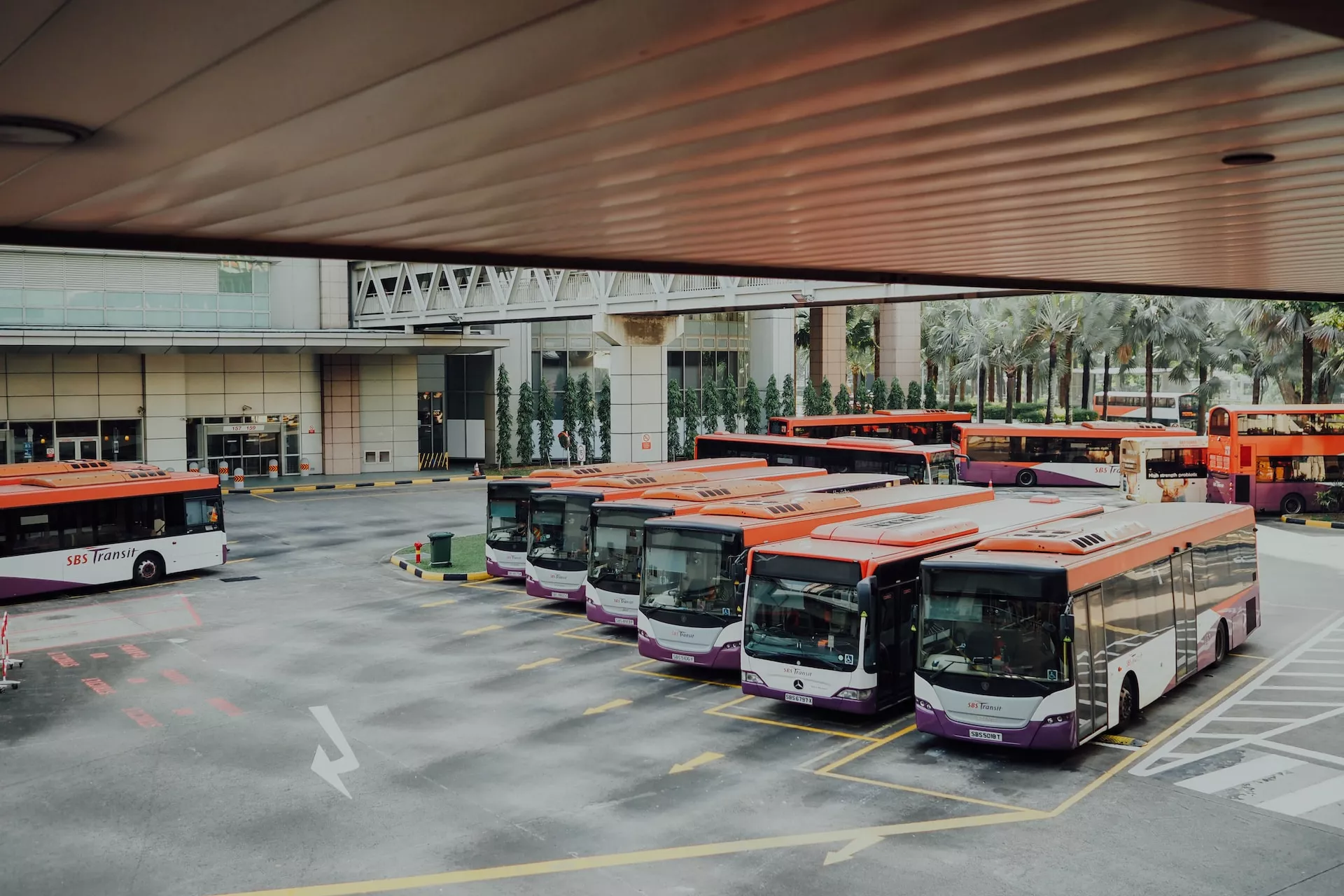 PRÓXIMA INAUGURACIÓN DE LA TERMINAL DE COLECTIVOS