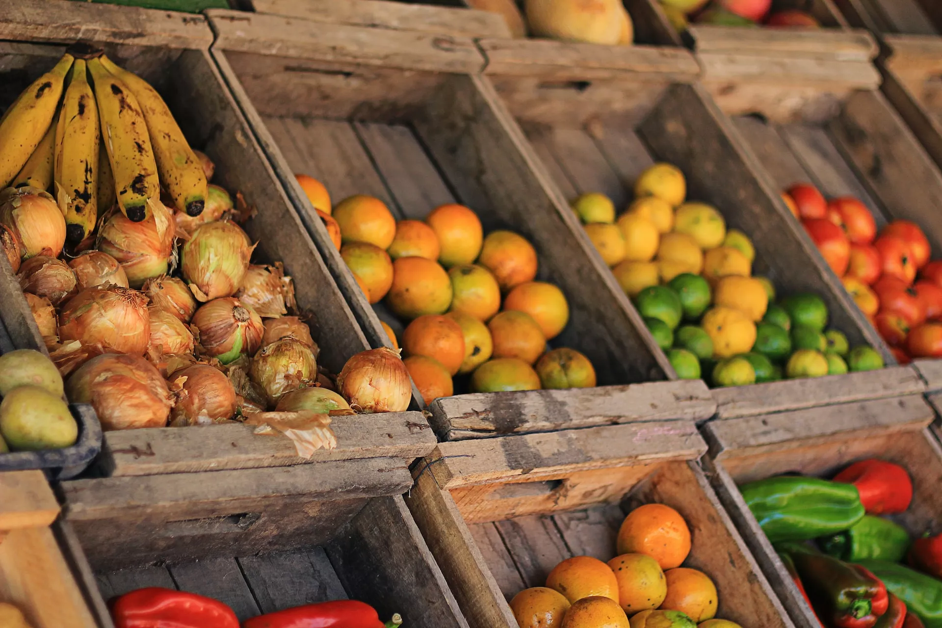 HOY A LAS 9.30 AM. EN PLAZA SAN MARTÌN HABRÀ FERIAZO DE FRUTAS Y VERDURAS