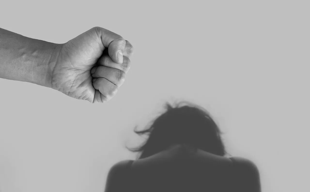 EL ROL DEL ESTADO EN LUCHA CONTRA LA EXPLOTACIÒN SEXUAL Y LA VIOLENCIA EN SANTA FE