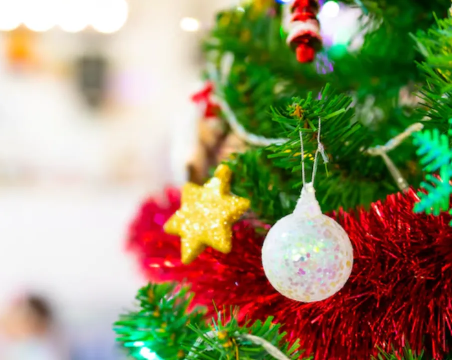 PREPARAR LA NAVIDAD 2025 EN SANTA FE: CUÁNTO HAY QUE GASTAR PARA ARMAR EL ÁRBOL