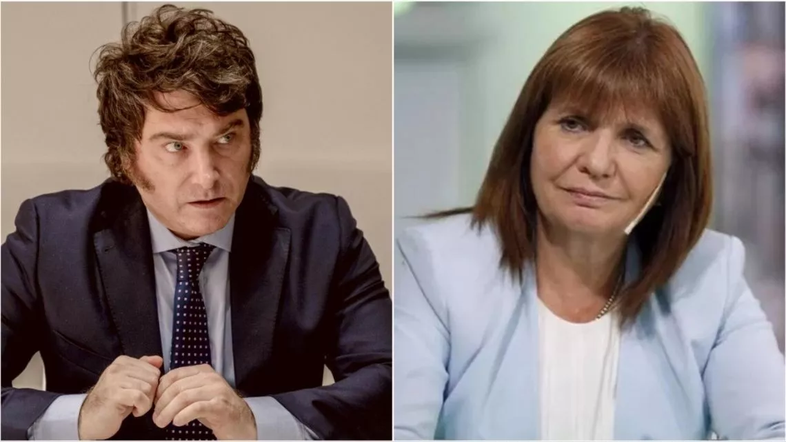 MILEI Y BULLRICH CRITICAN FUERTEMENTE LAS MEDIDAS DE MASSA