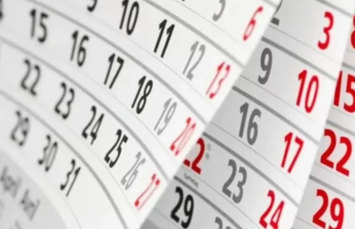 NOVIEMBRE 2025: QUÉ DÍAS SON FERIADO Y QUÉ PASARÁ CON EL VIERNES 21