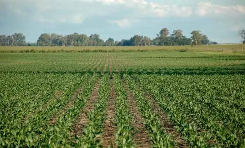 NUEVAS MEDIDAS DEL GOBIERNO PARA EL CAMPO