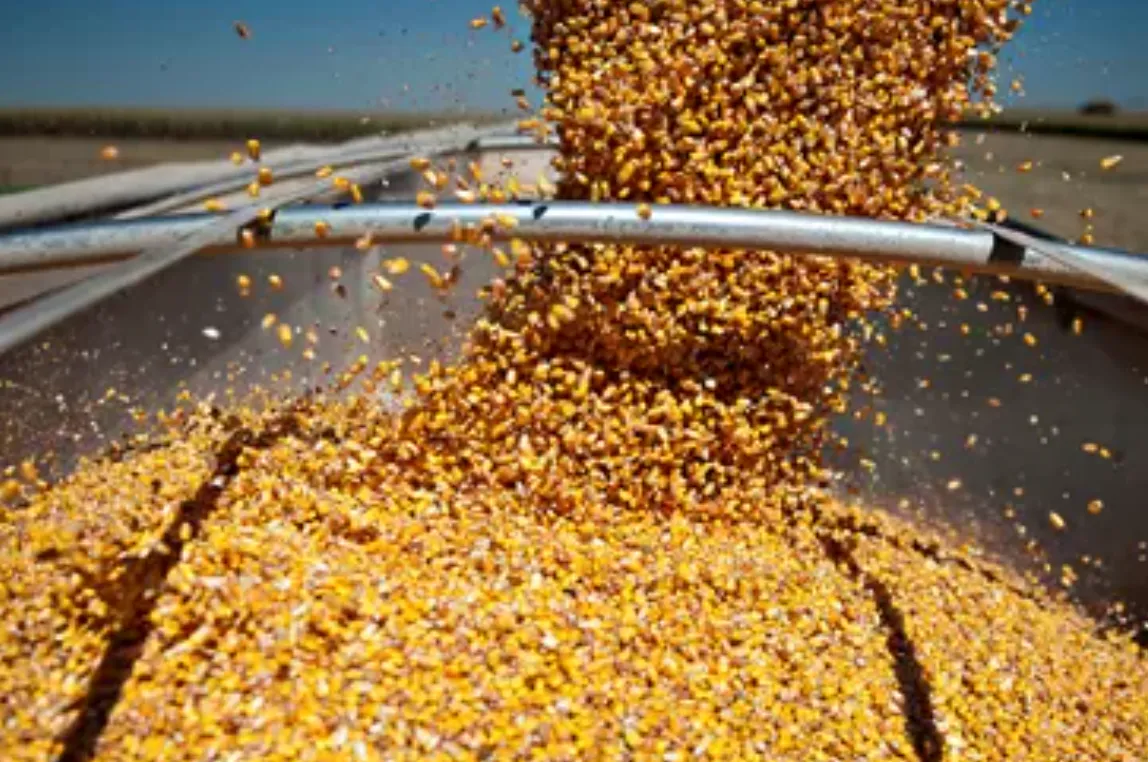ADM ANUNCIA DESPIDOS MASIVOS A NIVEL MUNDIAL Y SANTA FE TEME UN FUERTE IMPACTO EN EL SECTOR AGROINDUSTRIAL