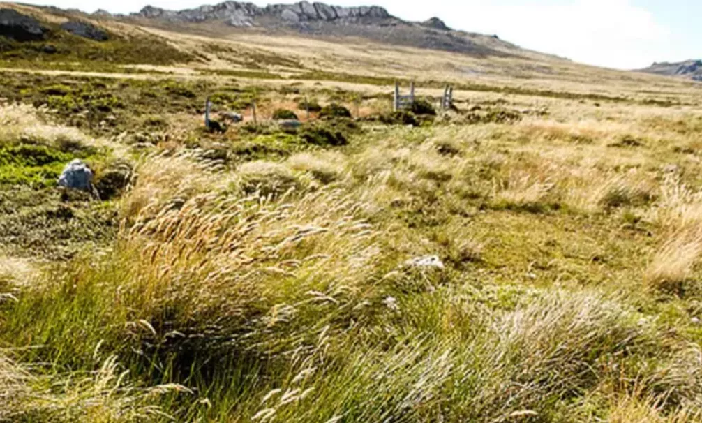 EXPLORACIÓN DE ORO EN MALVINAS: PROYECTO DESPIERTA POLÉMICA AMBIENTAL Y DIPLOMÁTICA