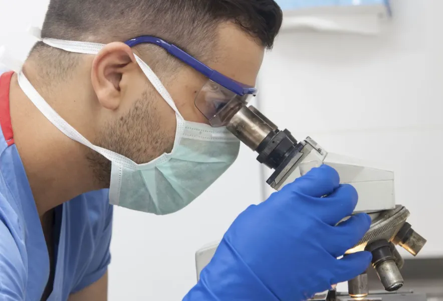 DESCUBRIMIENTO ARGENTINO DEL CONICET PODRÍA REVOLUCIONAR LAS TERAPIAS CONTRA EL CÁNCER: IDENTIFICAN PROTEÍNA CLAVE EN LA PROGRESIÓN TUMORAL