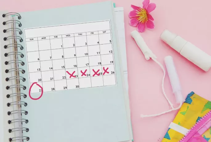 SE CONFIRMO QUE EL CICLO MENSTRUAL IMPACTA EN EL CEREBRO