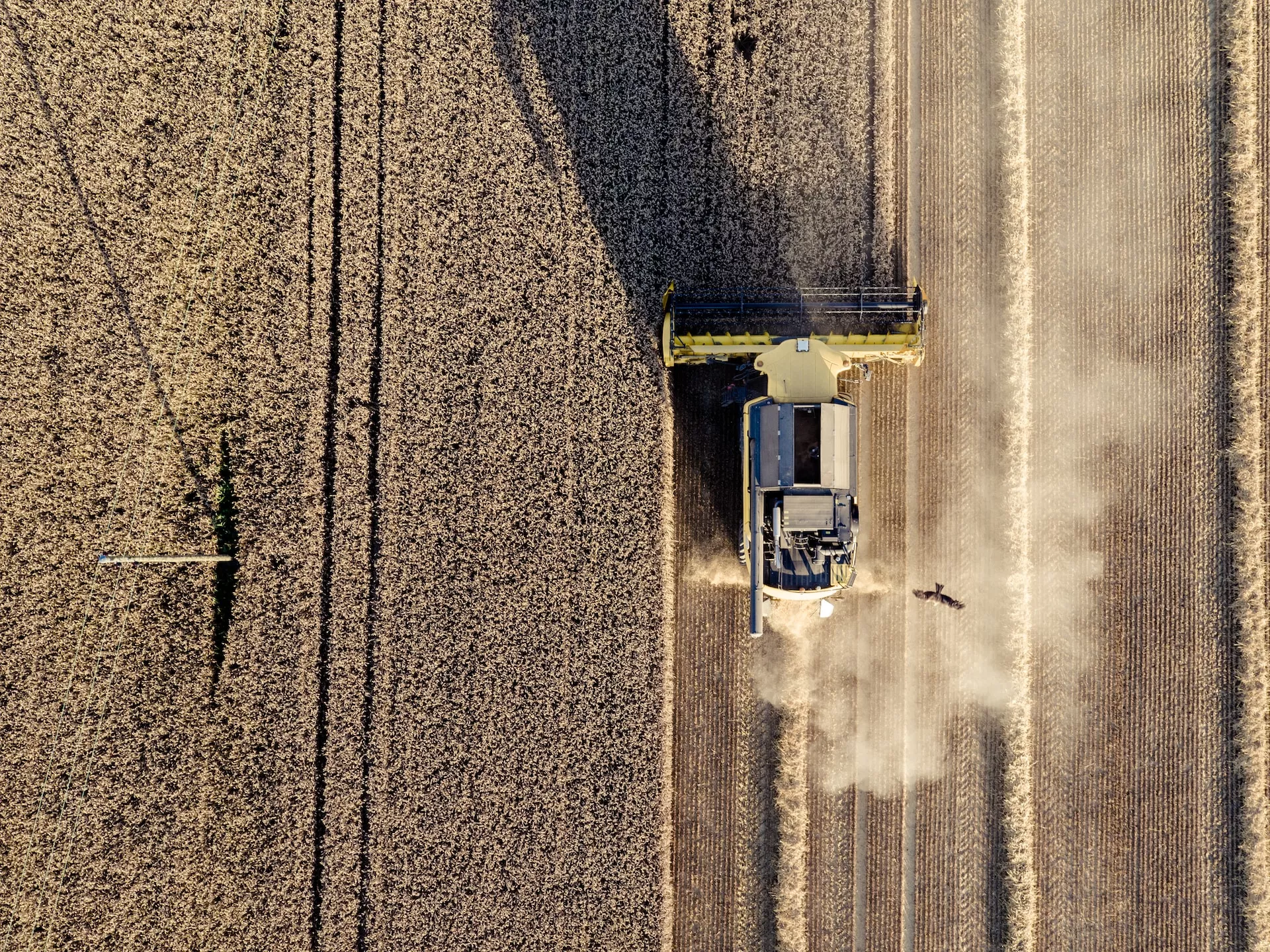 GOBIERNO CONTROLA DE CERCA LAS IMPORTACIONES DEL SECTOR AGROINDUSTRIAL