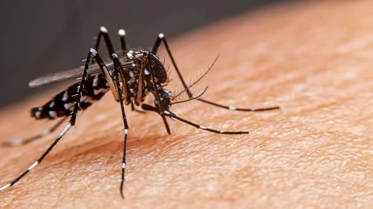 DENGUE EN SANTA FE, YA HAY 5 CASOS REGISTRADOS
