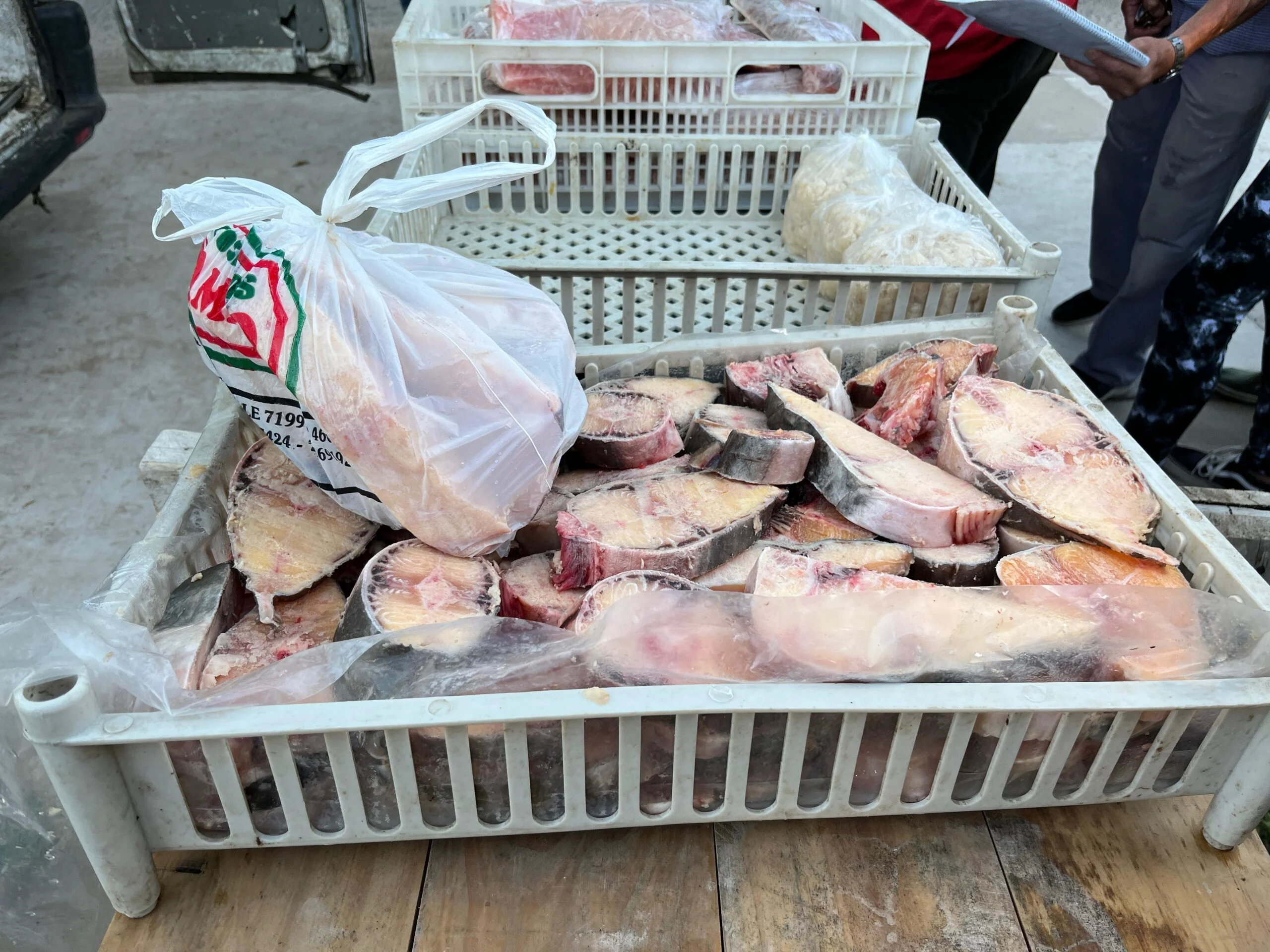 Feria de pescado: kilo desde $6.000 y stock limitado