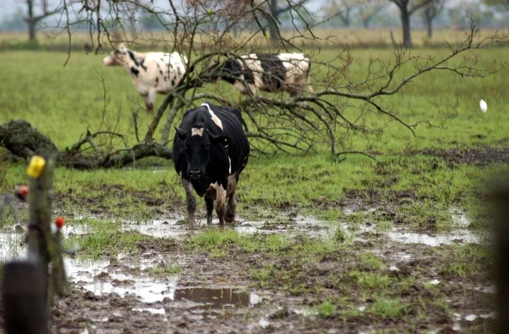 Inundaciones, más de un millón de hectáreas bajo agua y fuerte impacto en el campo