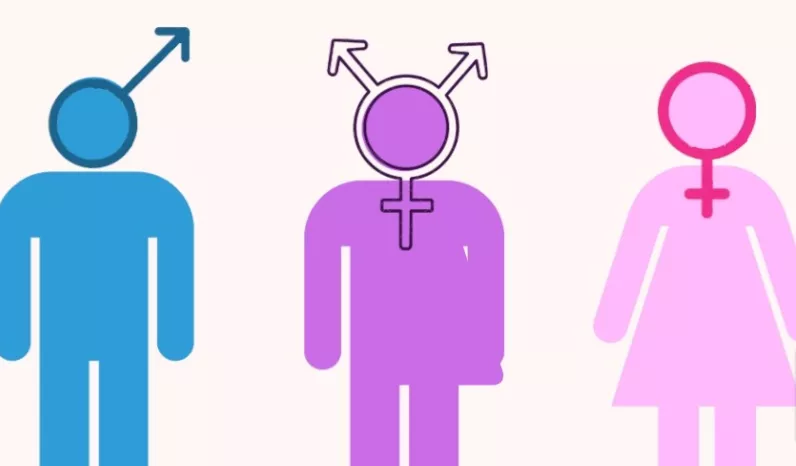DÍA DE LA CONCIENCIA SOBRE LA INTERSEXUALIDAD, RECONOCIENDO LA DIVERSIDAD DE GÉNERO