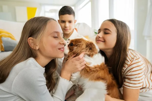 De “mascotas” a hijos de cuatro patas: crecen los seguros y obras sociales para perros y gatos