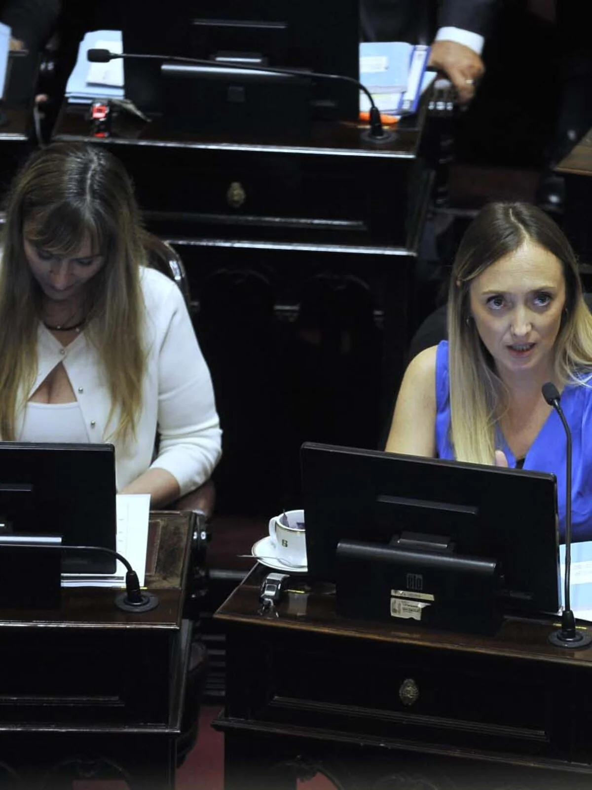 Sesión en el senado por la suspensión de las PASO