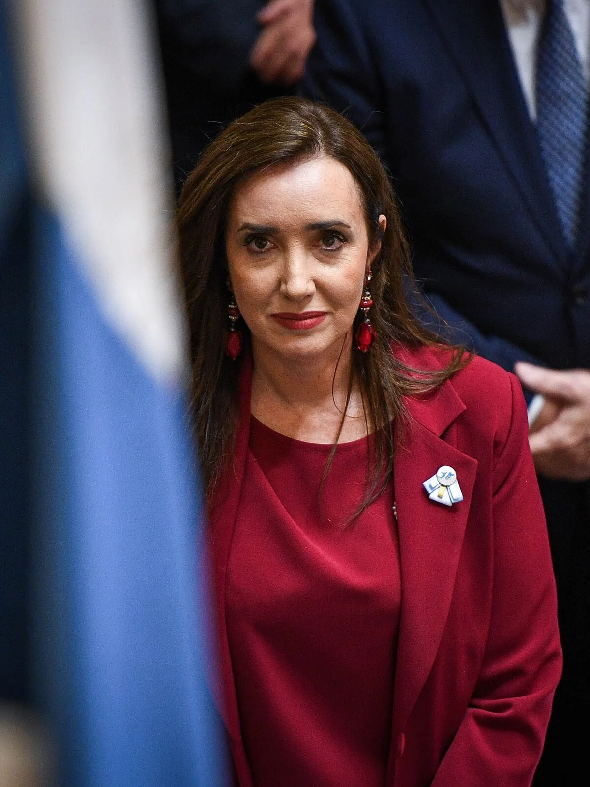 Ley de Tierras: Villarruel habilita a Fernández Sagasti a votar de forma remota, pero el recinto tendrá la última palabra