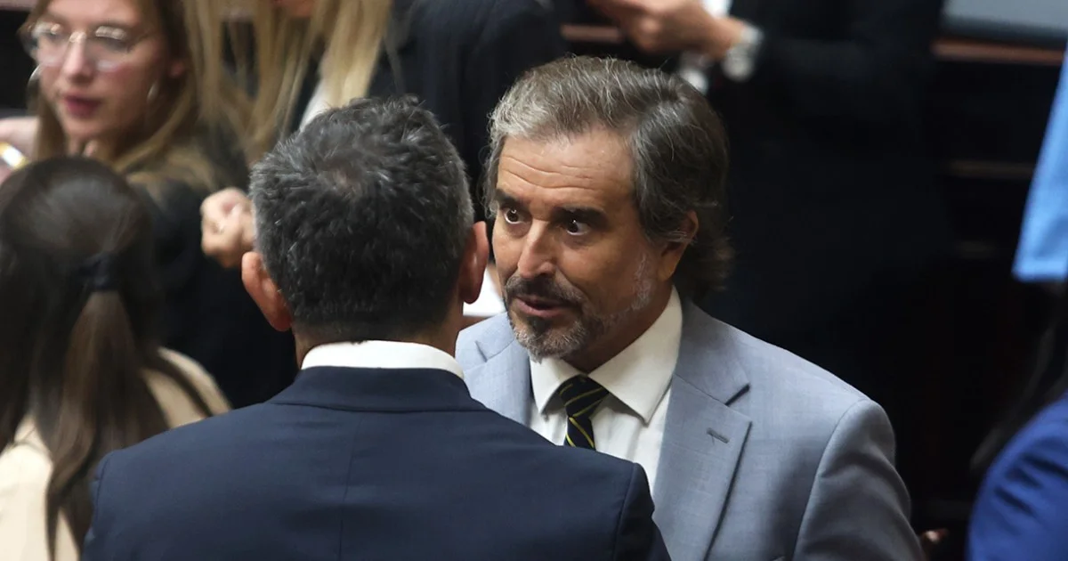 Benegas Lynch: los endeudados son “llorones” que no quieren pagar la tele del Mundial