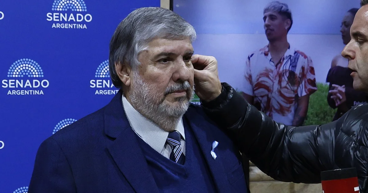 El peronismo en el Senado evalúa una "Ficha Sana" para responder al avance de Ficha Limpia