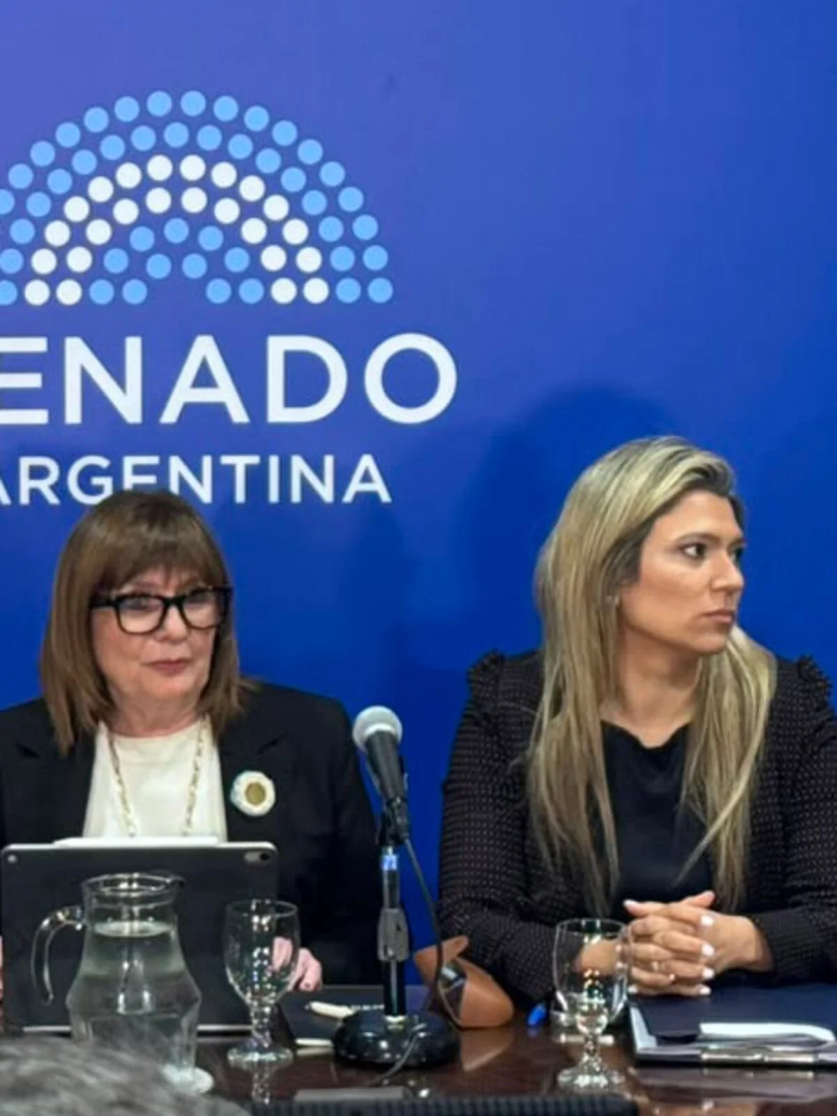 Bullrich dijo que acordó con aliados un límite de 25% para la venta de tierras, pero aún hay dudas con los votos