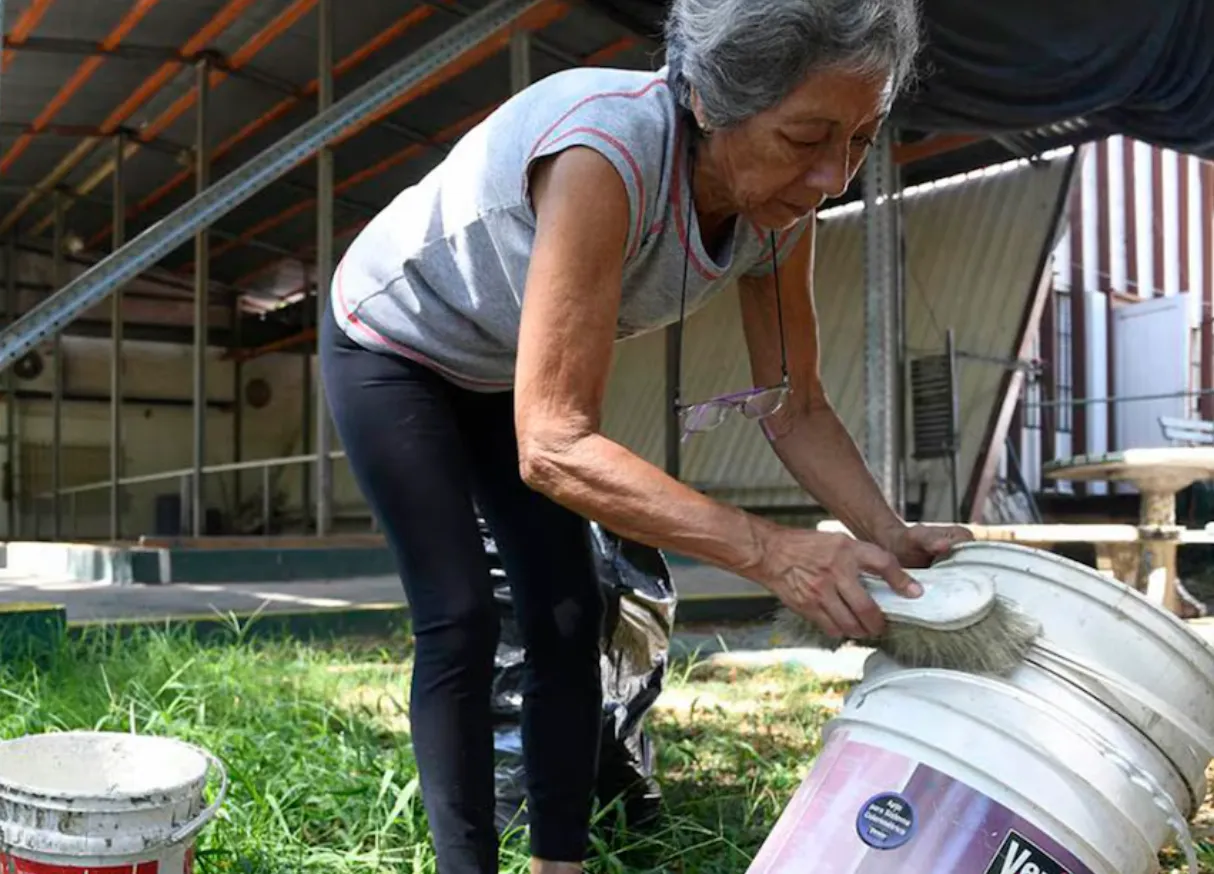 DENGUE EN SANTA FE: ¿LAS LLUVIAS PROLONGADAS FAVORECEN LA PROPAGACIÓN DEL MOSQUITO VECTOR?