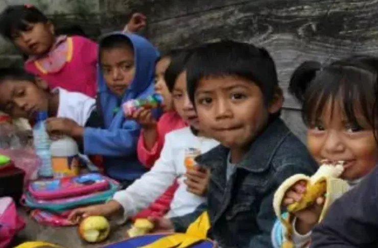 CRISIS EN LA INFANCIA ARGENTINA: RECORTES DEJAN A MILLONES DE NIÑOS EN VULNERABILIDAD
