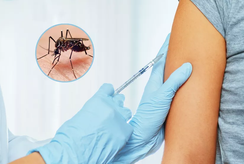 INICIA LA VACUNACIÓN CONTRA EL DENGUE, VACUNAS YA DISPONIBLES EN FARMACIAS