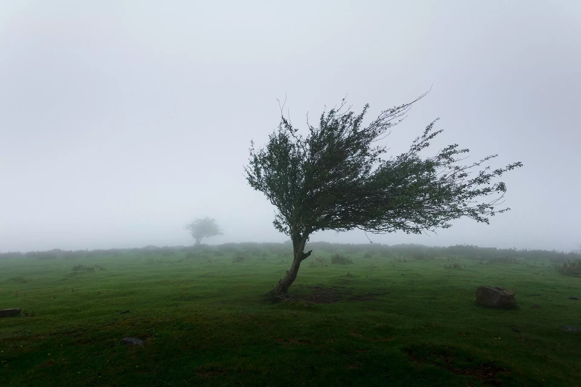 JUEVES CON MUCHO VIENTO Y FRÍO, EL VIERNES MEJORAN LAS CONDICIONES CLIMÁTICAS